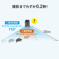 トレイルカメラ　防犯カメラ　動物・獣害対策　屋外　工事不要　乾電池式/AC電源　CMS-SC03GY　サンワサプライ　1台（直送品）