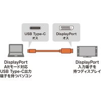サンワサプライ TypeC-DisdplayPort変換ケーブル 2m KC-ALCDP20 1本（直送品）