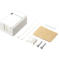 サンワサプライ カテゴリ6Aローゼットキット(マグネット付き) LA-RZ6A-1 1個（直送品）