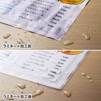 サンワサプライ A3ラミネーター(2本ローラー) LM-A3R2 1個（直送品）