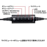 サンワサプライ ノイズキャンセリングマイク付きUSBヘッドセット MM-HSU14ANC 1個（直送品）