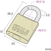 サンワサプライ eセキュリティ（南京錠小No.10） SLE-2L-10N 1個（直送品）