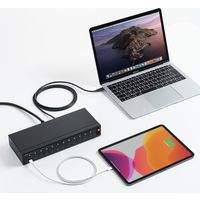 USBハブ　USB2.0　USB-C　Type-C×12　USBポート　USB-2THCS12　サンワサプライ　1個（直送品）