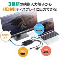 サンワサプライ マルチ入力HDMI変換コンバータ VGA-CVHDMLT 1個（直送品）