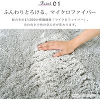 トシシミズ MS303 トシシミズ ラグ 直径1900mm ベージュ 4560254116231 1枚（直送品）