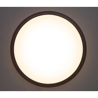 アイリスオーヤマ LEDシーリング 5.0シリーズ 木調フレーム 12畳調色 CL12DL-5.0WF-M 1台（直送品）