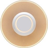 アイリスオーヤマ 小型シーリングライト 導光板 1500lm 電球色 SCL-150L-LGP 1台