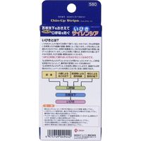 DKSHジャパン いびきサイレンシア テープ6枚入 6枚入×12セット（直送品）