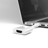 ADAM elements M2 Mini DisplayPort-HDMI(4K)アダプター AAPADM2SLJ 1個（直送品）