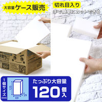 （ケース販売）激落ちくん 工場用 メラミンスポンジ 洗剤不使用 切れ目入り 大容量 1箱（120個：12カット×10個入）レック