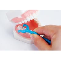 クリニカアドバンテージ デンタルフロスＹ字タイプ 1袋（30本入） 大容量タイプ 035964 ライオン