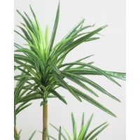 ポピー 人工樹木／人工観葉植物 ユッカ GLA-1198 グリーン 1鉢 幅520×奥行520×高さ約1200mm インテリアグリーン