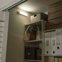 アイリスオーヤマ LED センサーライト 乾電池式 ウォールタイプ  壁付 人感センサー 昼白色 BSL40WN-WV2 １台