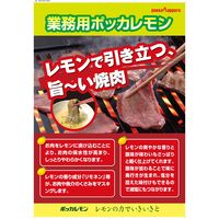 業務用 ポッカレモン 100% 720ml 6本 レモン果汁 ポッカサッポロ
