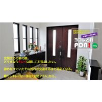 エスティームジャパン 玄関タイル専用 汚れトレPON! 300g スプレートリガー付き EJ-001 1本