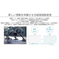 JAPANNEXT（ジャパンネクスト） 50インチ4K液晶モニター JN-HDR501V4K 大型モニター 1台