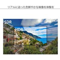 JAPANNEXT（ジャパンネクスト） 43インチ4K液晶モニター JN-HDR430IPS4K 大型モニター 1台