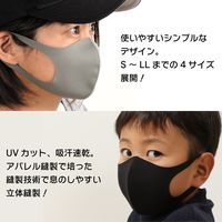 かきもと 洗えて繰り返し使えるマスク 3枚組 kakimask026 1セット(3枚入)（直送品）