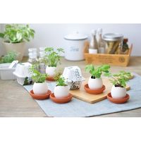 聖新陶芸 聖新 EG-4806 エッグリング エコ ラベンダー 1個（直送品）