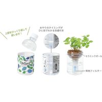 聖新陶芸 聖新 GD-86302 グリーンペット(new) バジル 1個（直送品）