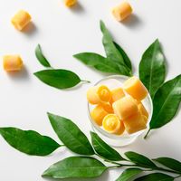 【簡易包装】アデリー　ホシフルーツ　ゆめほっぺみかんアイス　３０粒YHI-30（直送品）