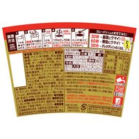 日清食品 日清カレーメシ 3種詰合せセット［カレーメシ・キーマ・ハヤシメシ］1セット（18食）カップライス カップご飯