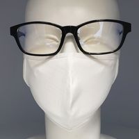 ミックオプチカル オールクリアマスク　MASK 110-L　WH　30枚セット MASK 110-L WH_30P 1セット(10枚入×３)（直送品）