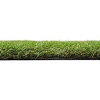 アイリスオーヤマ 防草人工芝 1m×10m BP-30110 1枚