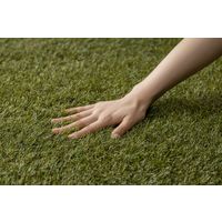 アイリスオーヤマ 防草人工芝　２ｍ×２０ｍ BP-30220 1本（直送品）