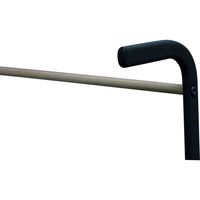 アイリスオーヤマ スタイルハンガー　ラダータイプ ブラック PI-L160 1台（直送品）