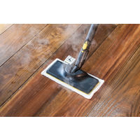 ケルヒャー スチームクリーナー SC 3 EasyFix 1.513-117.0 1台