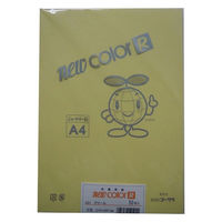 リンテック 色画用紙R A4 50枚 クリーム _ 1包（直送品）