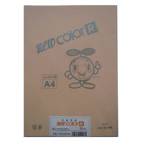 リンテック 色画用紙R A4 50枚 うすだいだい _ 1包（直送品）