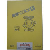 リンテック 色画用紙R A4 50枚 きいろ _ 1包（直送品）