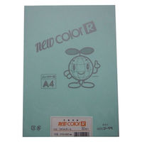 リンテック 色画用紙R A4 50枚 うすみず _ 1包（直送品）