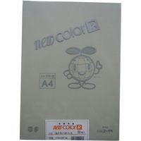 リンテック 色画用紙R A4 50枚あかるい はいいろ _ 1包（直送品）