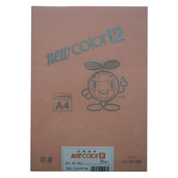 リンテック 色画用紙R A4 50枚 サーモン _ 1包（直送品）