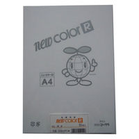 リンテック 色画用紙R A4 50枚 ゆき _ 1包（直送品）