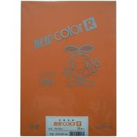リンテック 色画用紙R A4 50枚 だいだい _ 1包（直送品）