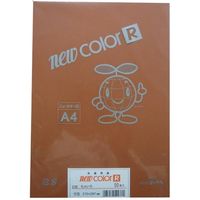 リンテック 色画用紙R A4 50枚 ちゃいろ _ 1包（直送品）
