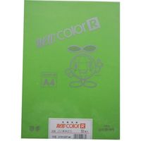 リンテック 色画用紙R A4 50枚 こいきみどり _ 1包（直送品）