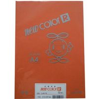 リンテック 色画用紙R A4 50枚 しゅいろ _ 1包（直送品）