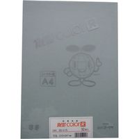 リンテック 色画用紙R A4 50枚 はいいろ _ 1包（直送品）