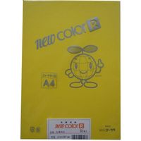 リンテック 色画用紙R A4 50枚 ひまわり _ 1包（直送品）