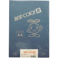 リンテック 色画用紙R A4 50枚 あいいろ _ 1包（直送品）