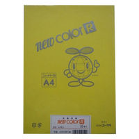 リンテック 色画用紙R A4 50枚 レモン _ 1包（直送品）