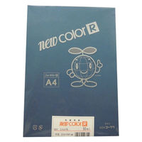 リンテック 色画用紙R A4 50枚 こんいろ _ 1包（直送品）