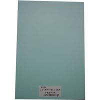 リンテック 色画用紙R 8ツ切 10枚うすみずいろ 110 1包（直送品）