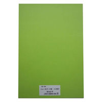 リンテック 色画用紙R 8ツ切 10枚きみどり 212 1包（直送品）