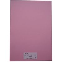 リンテック 色画用紙R 8ツ切 10枚さくら 218　1包（直送品）